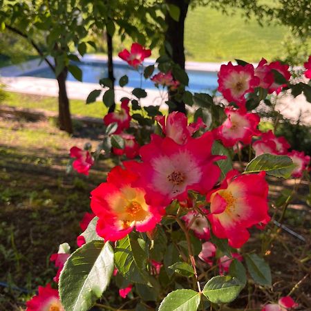 Agriturismo San Fabio Castelnuovo Berardenga Luaran gambar